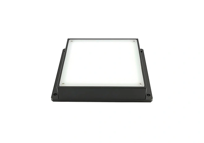 Parallel Light Source